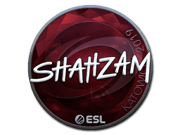 ShahZaM (Foil) | Katowice 2019