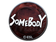 somebody (Foil) | Katowice 2019