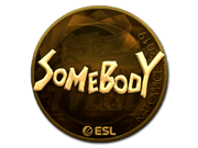 somebody (Gold) | Katowice 2019