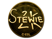 Stewie2K (Gold) | Katowice 2019