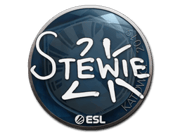 Stewie2K | Katowice 2019