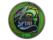 Team Spirit (Holo) | Katowice 2019