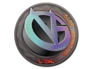 ViCi Gaming (Holo) | Katowice 2019