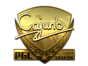 cajunb (Gold) | Krakow 2017