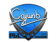 cajunb | Krakow 2017