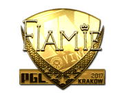 flamie (Gold) | Krakow 2017