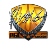 flusha (Foil) | Krakow 2017
