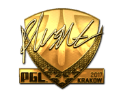 flusha (Gold) | Krakow 2017