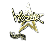 hallzerk (Gold) | Paris 2023