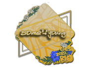sdy | Rio 2022