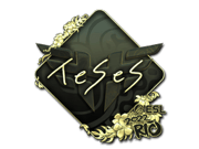 TeSeS (Gold) | Rio 2022