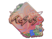 TeSeS (Holo) | Rio 2022