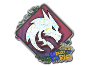 Team Spirit (Glitter) | Rio 2022