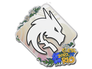 Team Spirit | Rio 2022