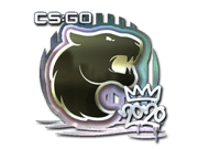 FURIA (Foil) | 2020 RMR