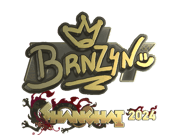 brnz4n (Gold) | Shanghai 2024