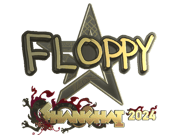 floppy (Gold) | Shanghai 2024