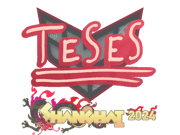 TeSeS | Shanghai 2024