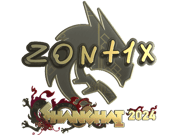 zont1x (Gold) | Shanghai 2024