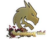 Team Spirit (Gold) | Shanghai 2024