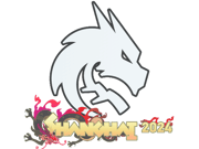 Team Spirit | Shanghai 2024