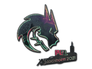 Team Spirit (Holo) | Stockholm 2021