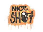 Nice Shot