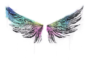Wings