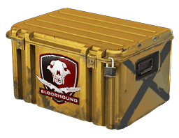 Falchion Case