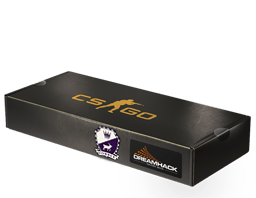 DreamHack 2014 Cobblestone Souvenir Package