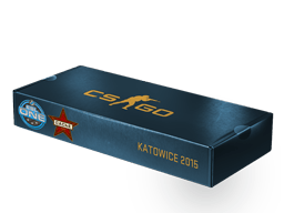 ESL One Katowice 2015 Cache Souvenir Package