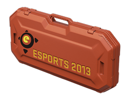 eSports 2013 Case