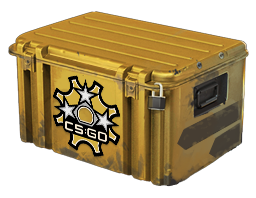 Revolver Case