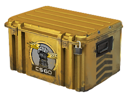 Glove Case