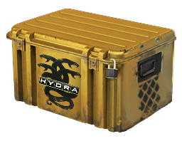Operation Hydra Case