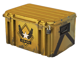 Winter Offensive Weapon Case