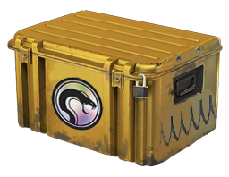 Recoil Case