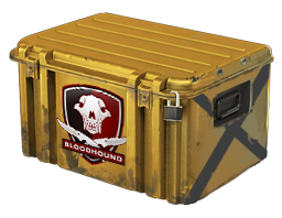 Falchion Case