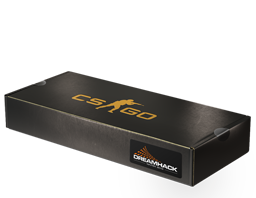 DreamHack 2013 Souvenir Package