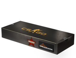 DreamHack 2014 Cache Souvenir Package