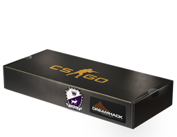 DreamHack 2014 Cobblestone Souvenir Package