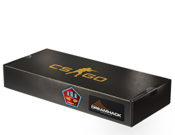 DreamHack 2014 Mirage Souvenir Package