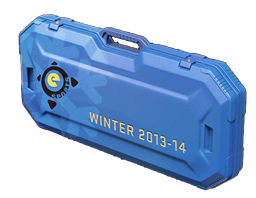 eSports 2013 Winter Case