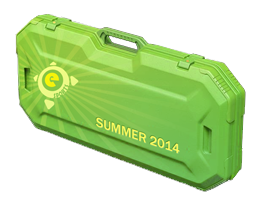 eSports 2014 Summer Case