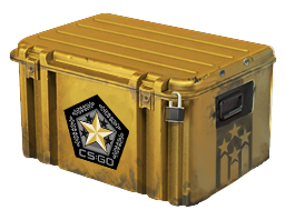 Gamma 2 Case