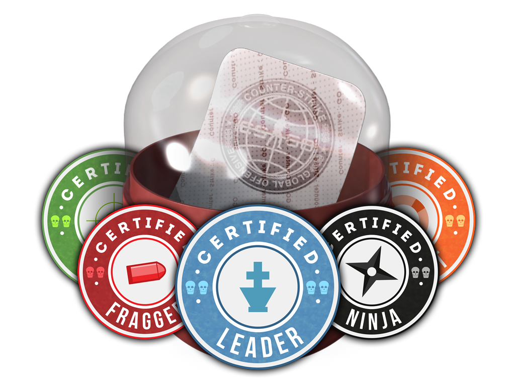 Team Roles Capsule